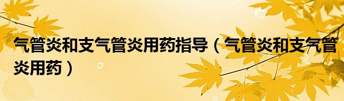 气管炎和支气管炎用药指导（气管炎和支气管炎用药）