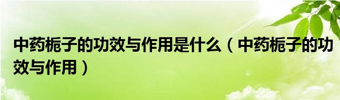 中药栀子的功效与作用是什么（中药栀子的功效与作用）