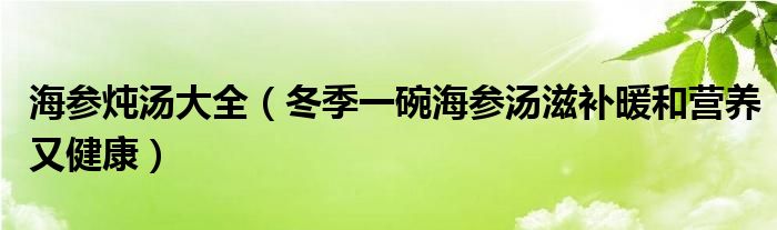 海参炖汤大全（冬季一碗海参汤滋补暖和营养又健康）