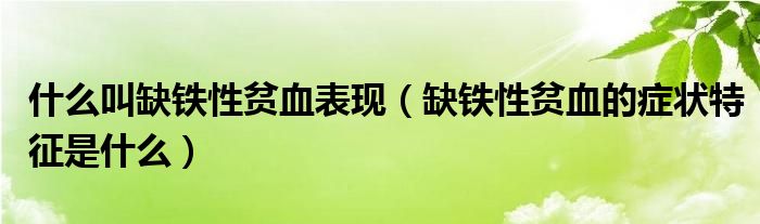 什么叫缺铁性贫血表现（缺铁性贫血的症状特征是什么）