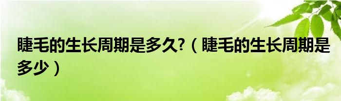 睫毛的生长周期是多久?（睫毛的生长周期是多少）