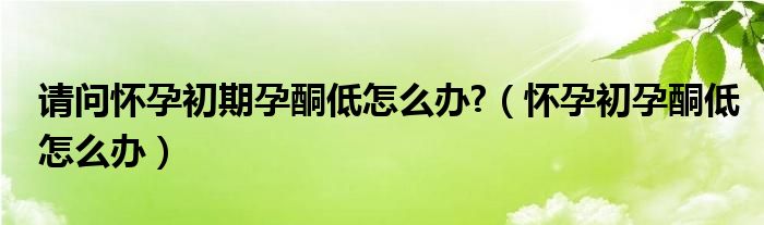 请问怀孕初期孕酮低怎么办?（怀孕初孕酮低怎么办）