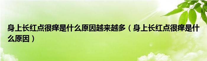 身上长红点很痒是什么原因越来越多（身上长红点很痒是什么原因）