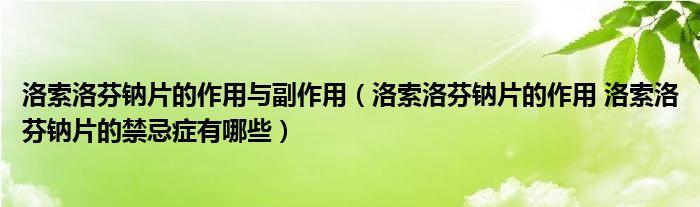 洛索洛芬钠片的作用与副作用（洛索洛芬钠片的作用 洛索洛芬钠片的禁忌症有哪些）