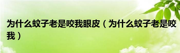 为什么蚊子老是咬我眼皮（为什么蚊子老是咬我）