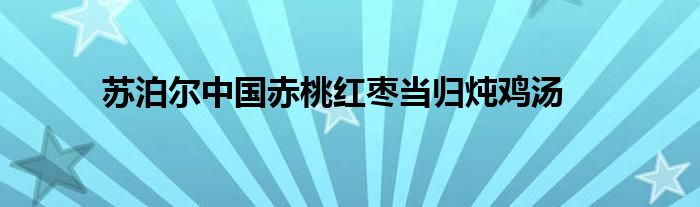 苏泊尔中国赤桃红枣当归炖鸡汤