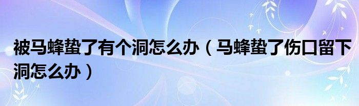 被马蜂蛰了有个洞怎么办（马蜂蛰了伤口留下洞怎么办）