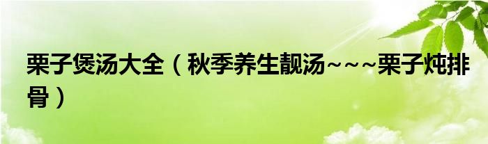 栗子煲汤大全（秋季养生靓汤~~~栗子炖排骨）