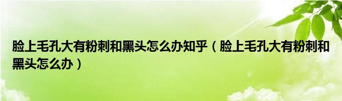 脸上毛孔大有粉刺和黑头怎么办知乎（脸上毛孔大有粉刺和黑头怎么办）