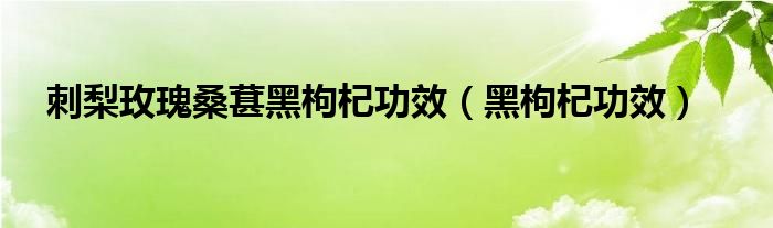 刺梨玫瑰桑葚黑枸杞功效（黑枸杞功效）