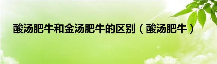 酸汤肥牛和金汤肥牛的区别（酸汤肥牛）