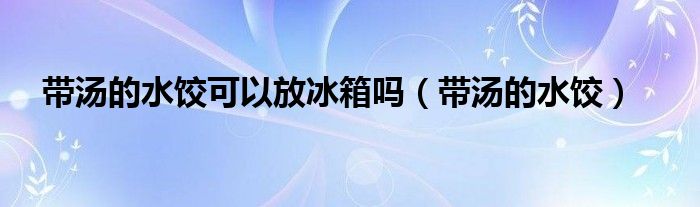 带汤的水饺可以放冰箱吗（带汤的水饺）