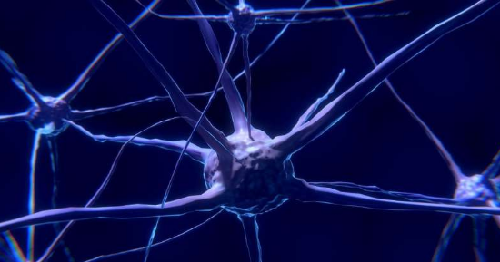 研究人員開(kāi)發(fā)了研究大腦連通性和功能的方法