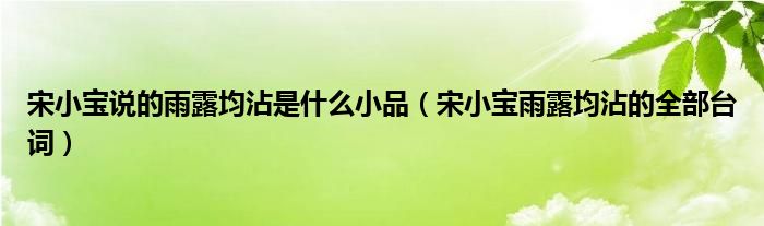 宋小宝说的雨露均沾是什么小品（宋小宝雨露均沾的全部台词）