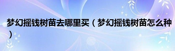 梦幻摇钱树苗去哪里买（梦幻摇钱树苗怎么种）