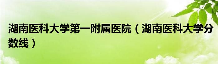 湖南医科大学第一附属医院（湖南医科大学分数线）