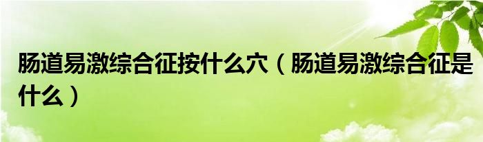 肠道易激综合征按什么穴（肠道易激综合征是什么）