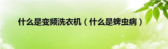 什么是变频洗衣机（什么是蜱虫病）