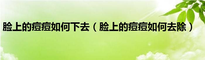 脸上的痘痘如何下去（脸上的痘痘如何去除）