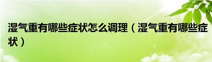 湿气重有哪些症状怎么调理（湿气重有哪些症状）