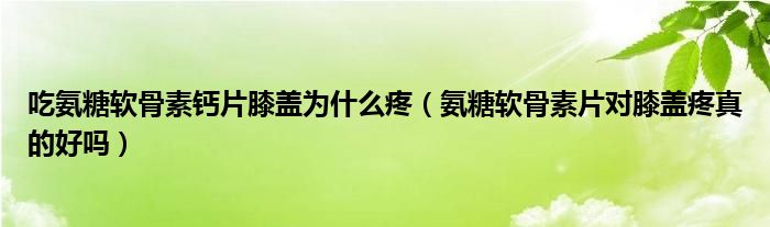 吃氨糖软骨素钙片膝盖为什么疼（氨糖软骨素片对膝盖疼真的好吗）