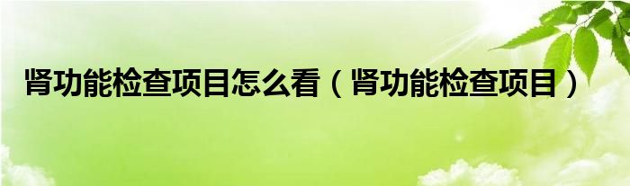 肾功能检查项目怎么看（肾功能检查项目）