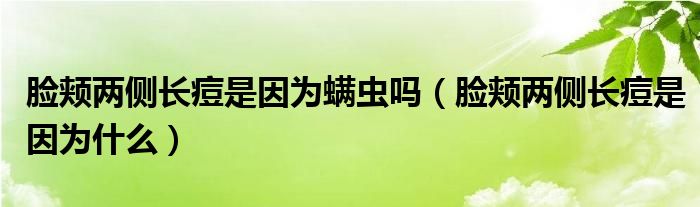 脸颊两侧长痘是因为螨虫吗（脸颊两侧长痘是因为什么）