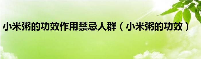 小米粥的功效作用禁忌人群（小米粥的功效）