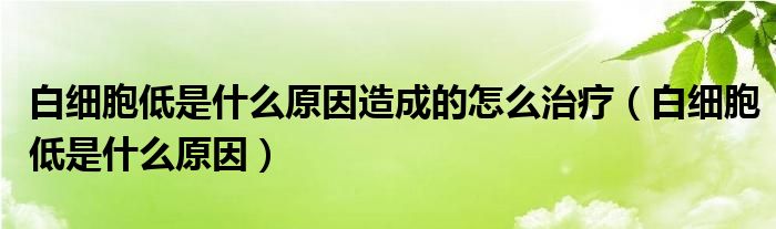 白细胞低是什么原因造成的怎么治疗（白细胞低是什么原因）