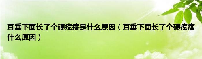 耳垂下面长了个硬疙瘩是什么原因（耳垂下面长了个硬疙瘩什么原因）