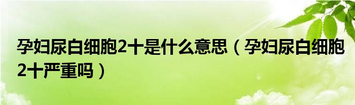 孕妇尿白细胞2十是什么意思（孕妇尿白细胞2十严重吗）