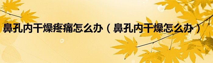 鼻孔内干燥疼痛怎么办（鼻孔内干燥怎么办）