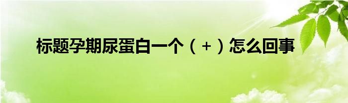 标题孕期尿蛋白一个（+）怎么回事