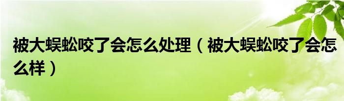 被大蜈蚣咬了会怎么处理（被大蜈蚣咬了会怎么样）