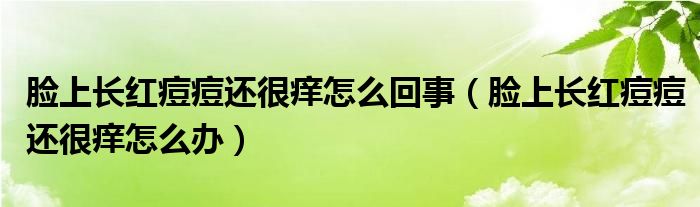 脸上长红痘痘还很痒怎么回事（脸上长红痘痘还很痒怎么办）