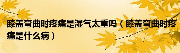 膝盖弯曲时疼痛是湿气太重吗（膝盖弯曲时疼痛是什么病）