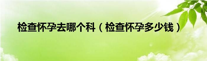 检查怀孕去哪个科（检查怀孕多少钱）