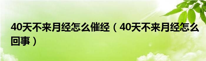 40天不来月经怎么催经（40天不来月经怎么回事）