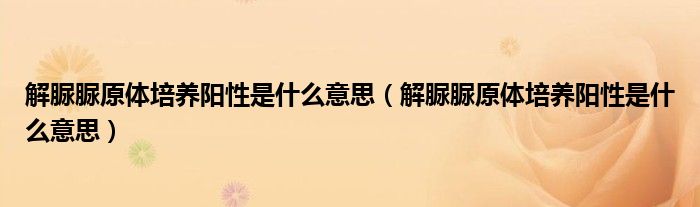 解脲脲原体培养阳性是什么意思（解脲脲原体培养阳性是什么意思）