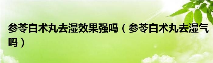 参苓白术丸去湿效果强吗（参苓白术丸去湿气吗）