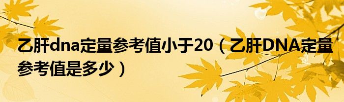 乙肝dna定量参考值小于20（乙肝DNA定量参考值是多少）