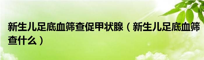 新生儿足底血筛查促甲状腺（新生儿足底血筛查什么）