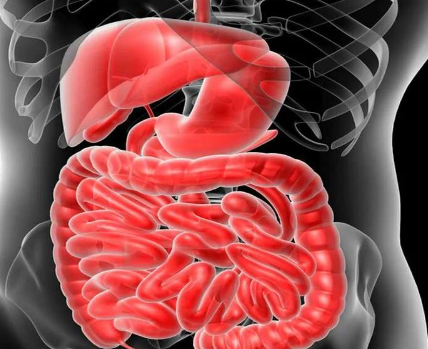 atezolizumab 和 bevacizumab 可延长肝癌患者的生活质量