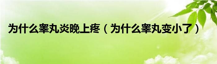 为什么睾丸炎晚上疼（为什么睾丸变小了）