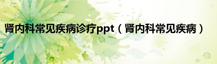 肾内科常见疾病诊疗ppt（肾内科常见疾病）