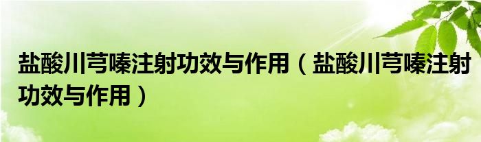 盐酸川芎嗪注射功效与作用（盐酸川芎嗪注射功效与作用）