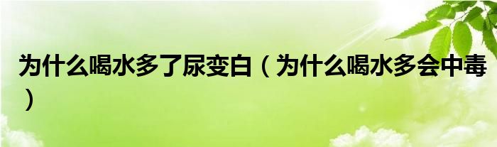 为什么喝水多了尿变白（为什么喝水多会中毒）