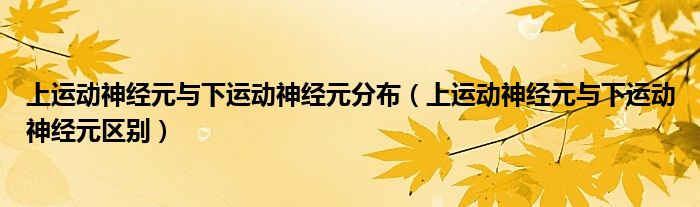 上运动神经元与下运动神经元分布（上运动神经元与下运动神经元区别）