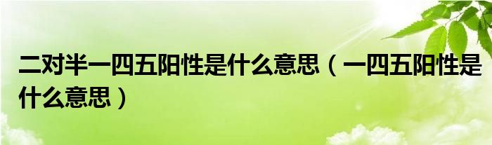 二对半一四五阳性是什么意思（一四五阳性是什么意思）