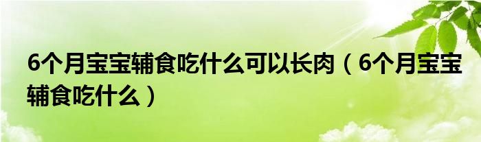 6个月宝宝辅食吃什么可以长肉（6个月宝宝辅食吃什么）